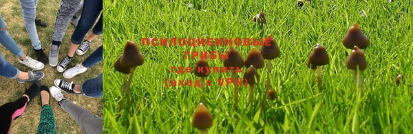 мяу мяу мука Алексеевка