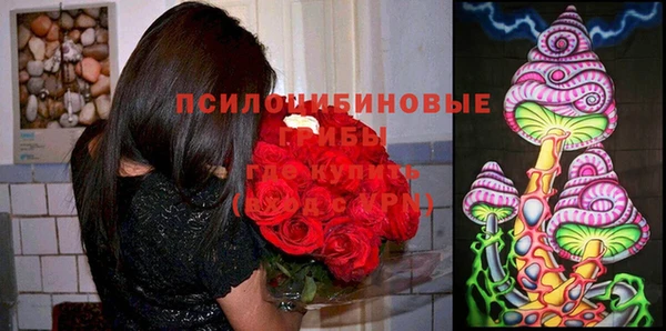 бутират Алексин