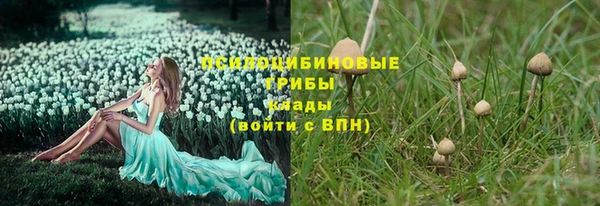 мяу мяу мука Алексеевка
