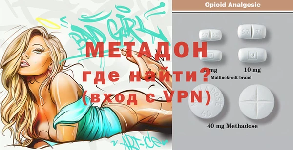 индика Медвежьегорск